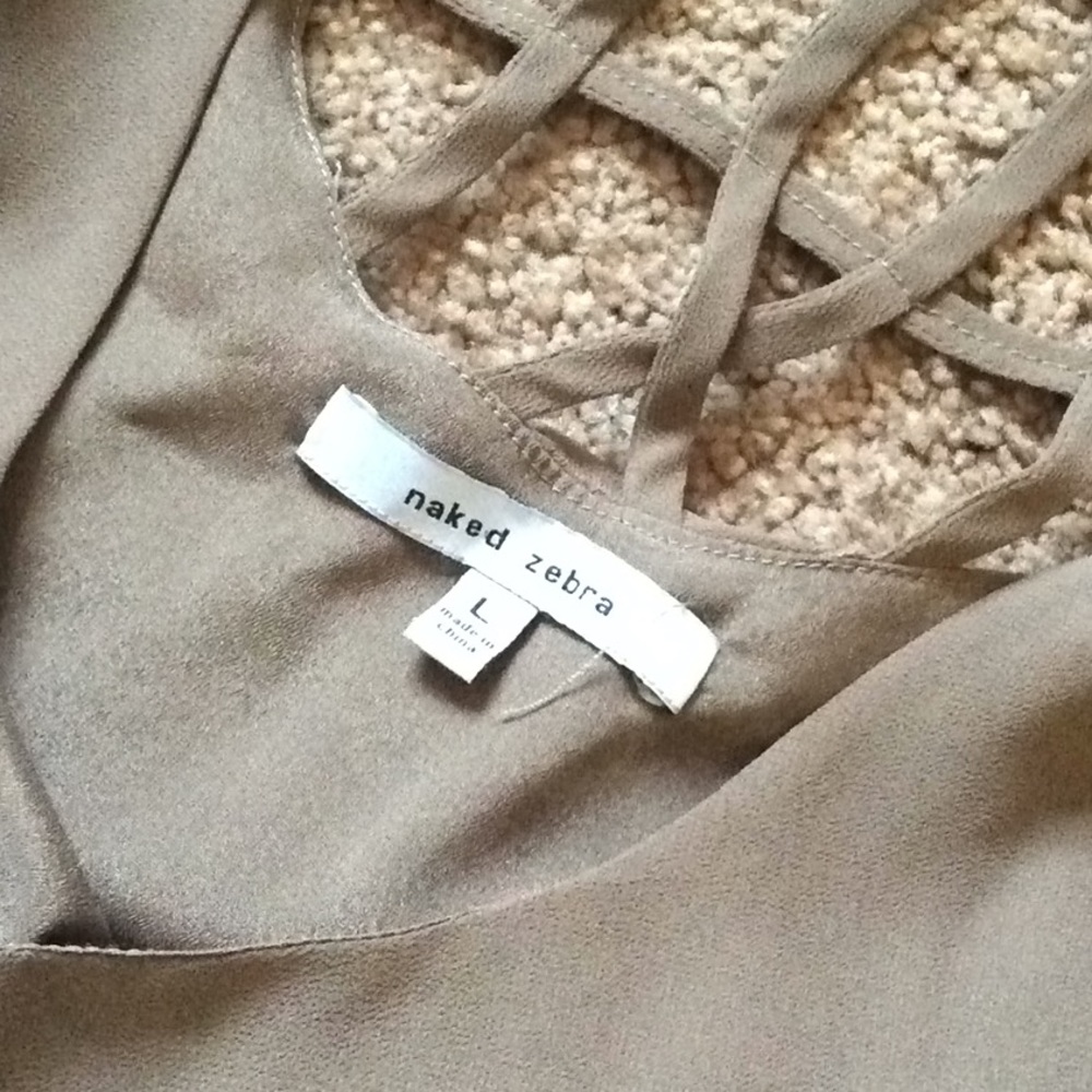 Naked Zebra Taupe Shift Dress - Picture 5 of 6